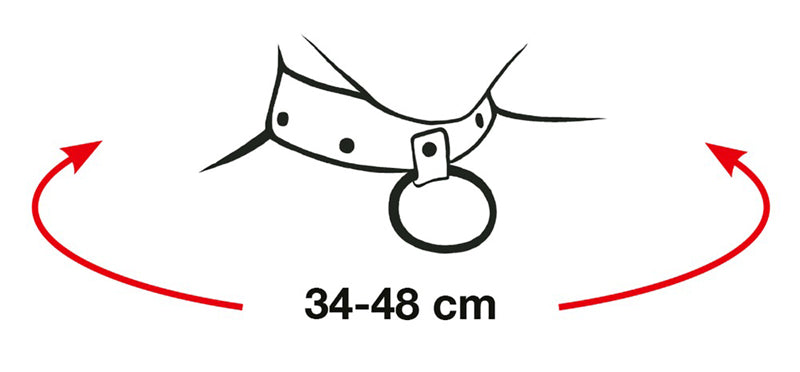 Complete Bondage Harness
